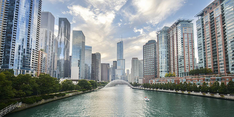 Chicago Internet Advertising - True Search Listings 01