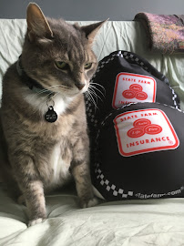 Tina Saracino - State Farm Insurance Agent 04