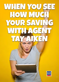 Shelter Insurance - Tay Aiken 02