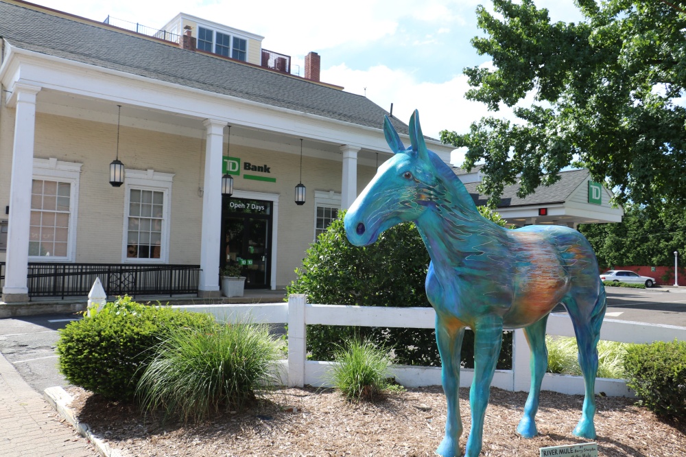 TD Bank 01