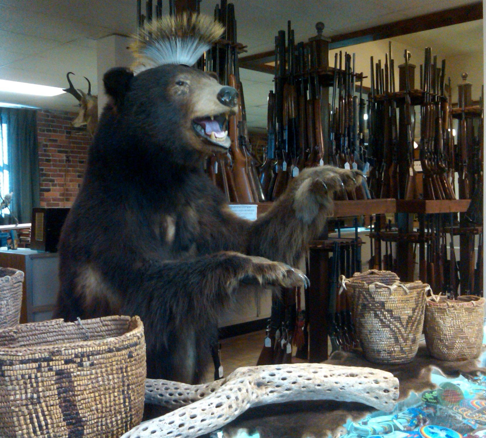 Bowlby's Gun and Pawn 01