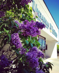 Ukrainian Federal Credit Union - Rochester Branch 04