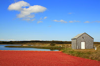 Cape Cod 5 03