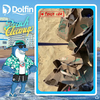 Dolfin Home Loans 03