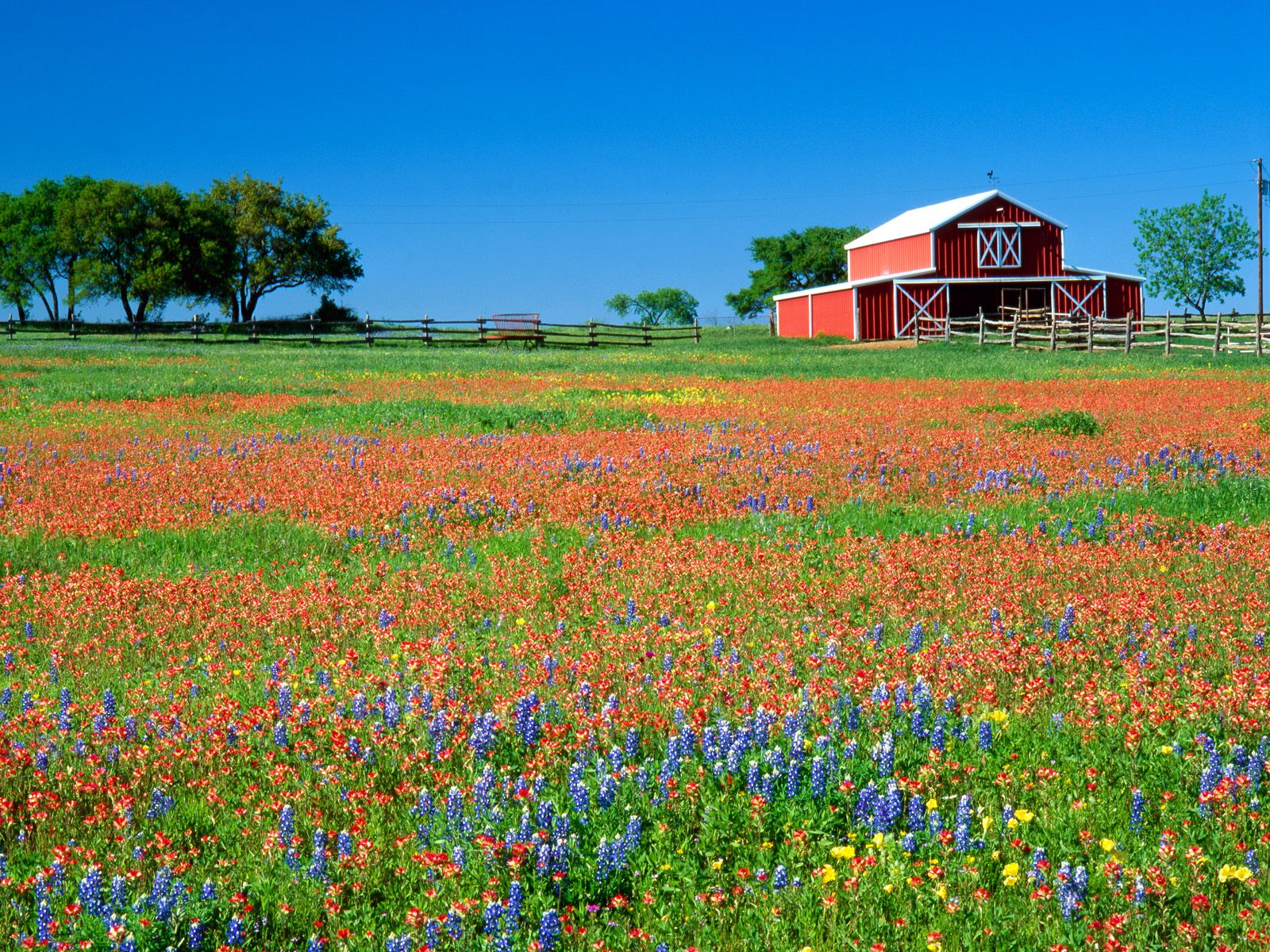 Texas Reverse Mortgage, Inc. 01