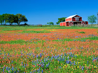 Texas Reverse Mortgage, Inc. 01