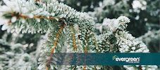 The Fuller Team - Evergreen Home Loans 01