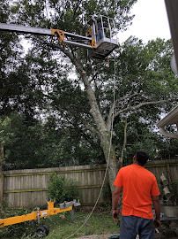 DTS Tree Service 03