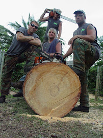 DTS Tree Service 04