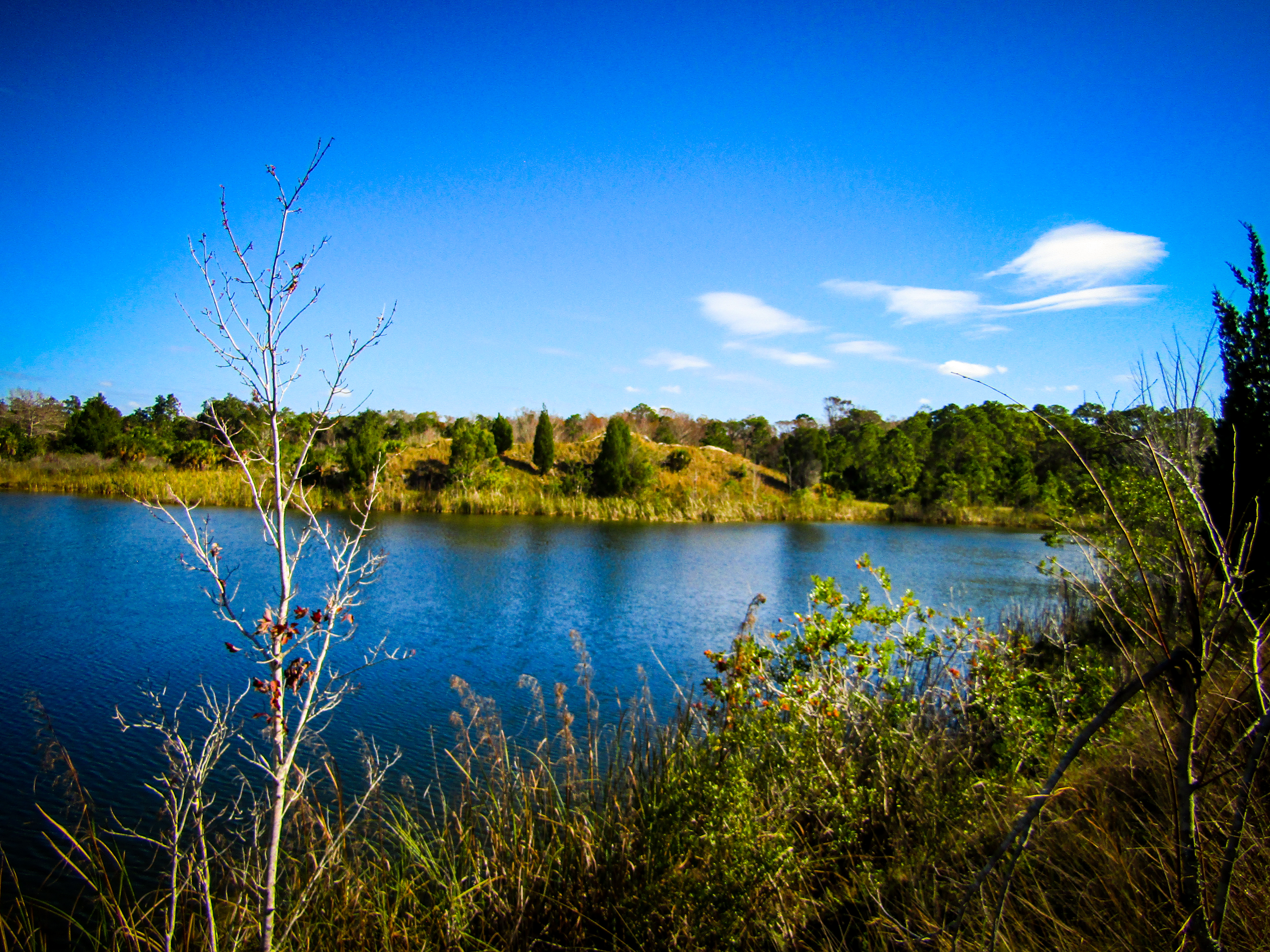 Aripeka Sandhills Preserve 01