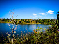Aripeka Sandhills Preserve 01