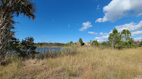 Aripeka Sandhills Preserve 02