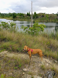 Aripeka Sandhills Preserve 04