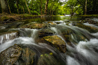 Monocacy Wealth Partners 01
