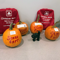 Steve Jarvis - State Farm Insurance Agent 03