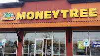 Moneytree 04
