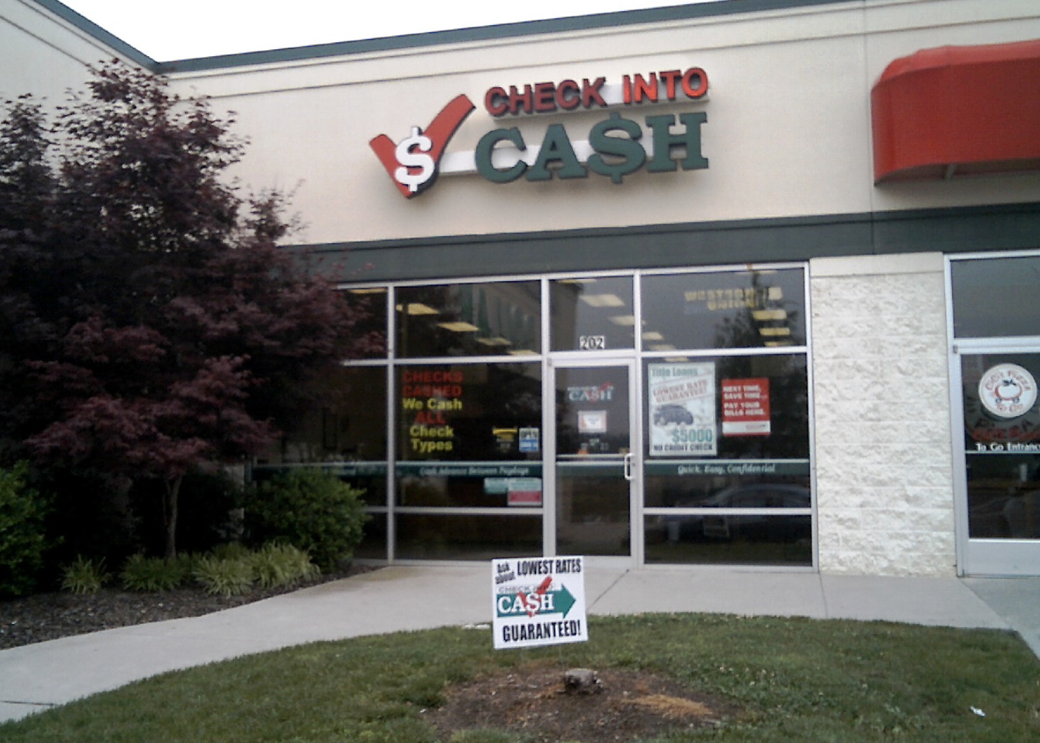 Check Into Cash 01