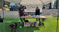 Luna Lending 01