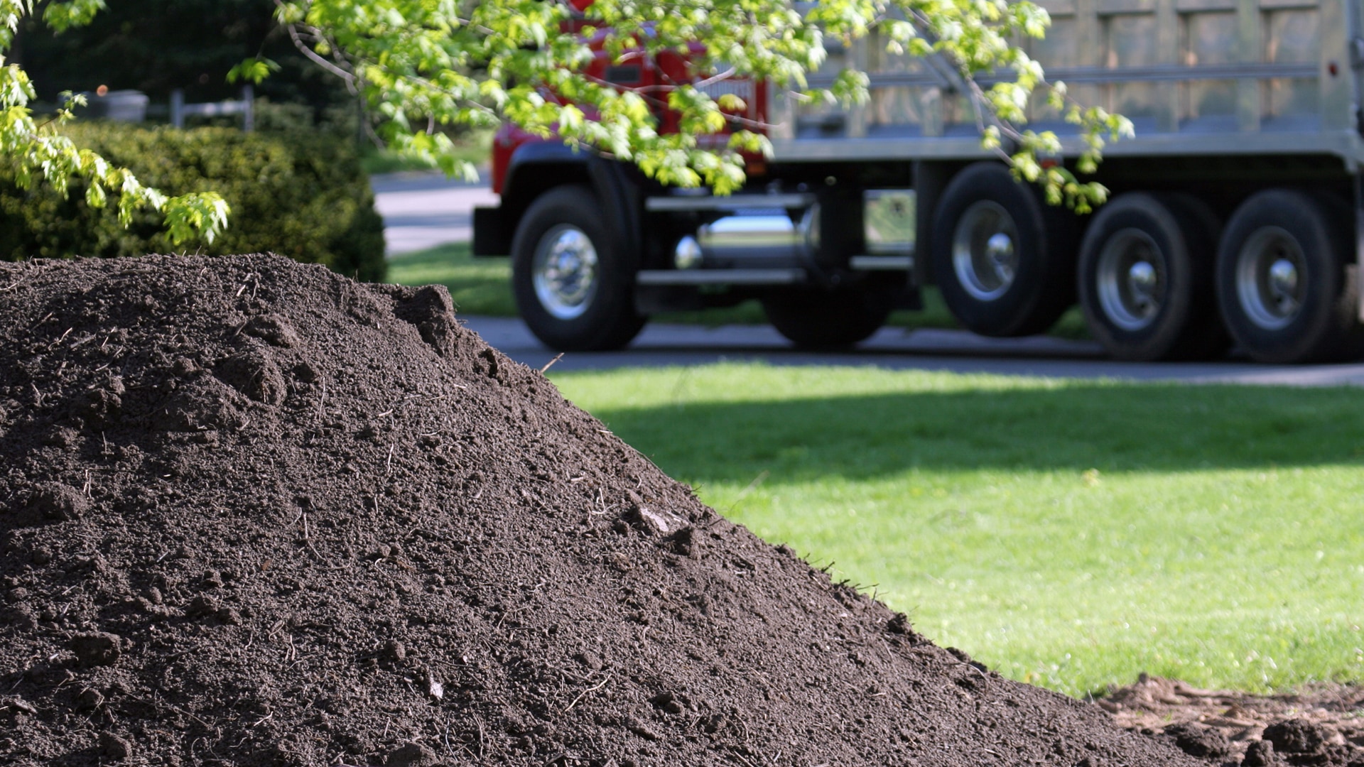 Dakin Natural Soils 01