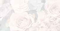 Personameant Solutions, LLC 01