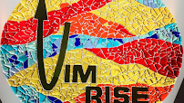 VIM RISE FINANCIAL SERVICES LLC 01