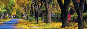 Allen Tate Realtors Burlington Office 04