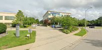 Green Tree Services LLC 01