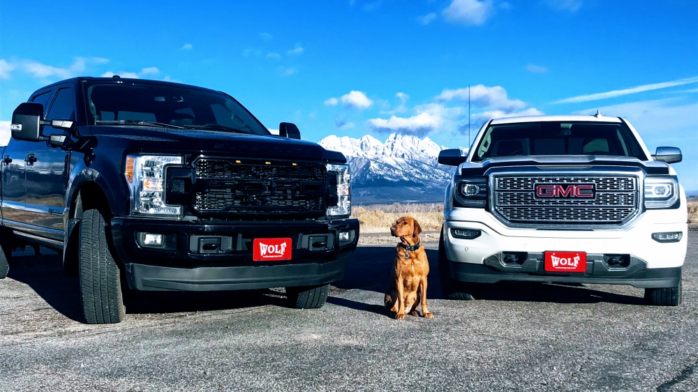 Wolf's Jackson Hole 01