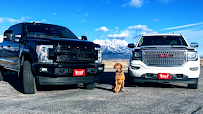 Wolf's Jackson Hole 01