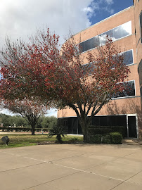 Texan Bank 03
