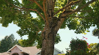 RJ Bennett - Canopy Mortgage, LCC 02
