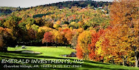 Emerald Investments Inc 01