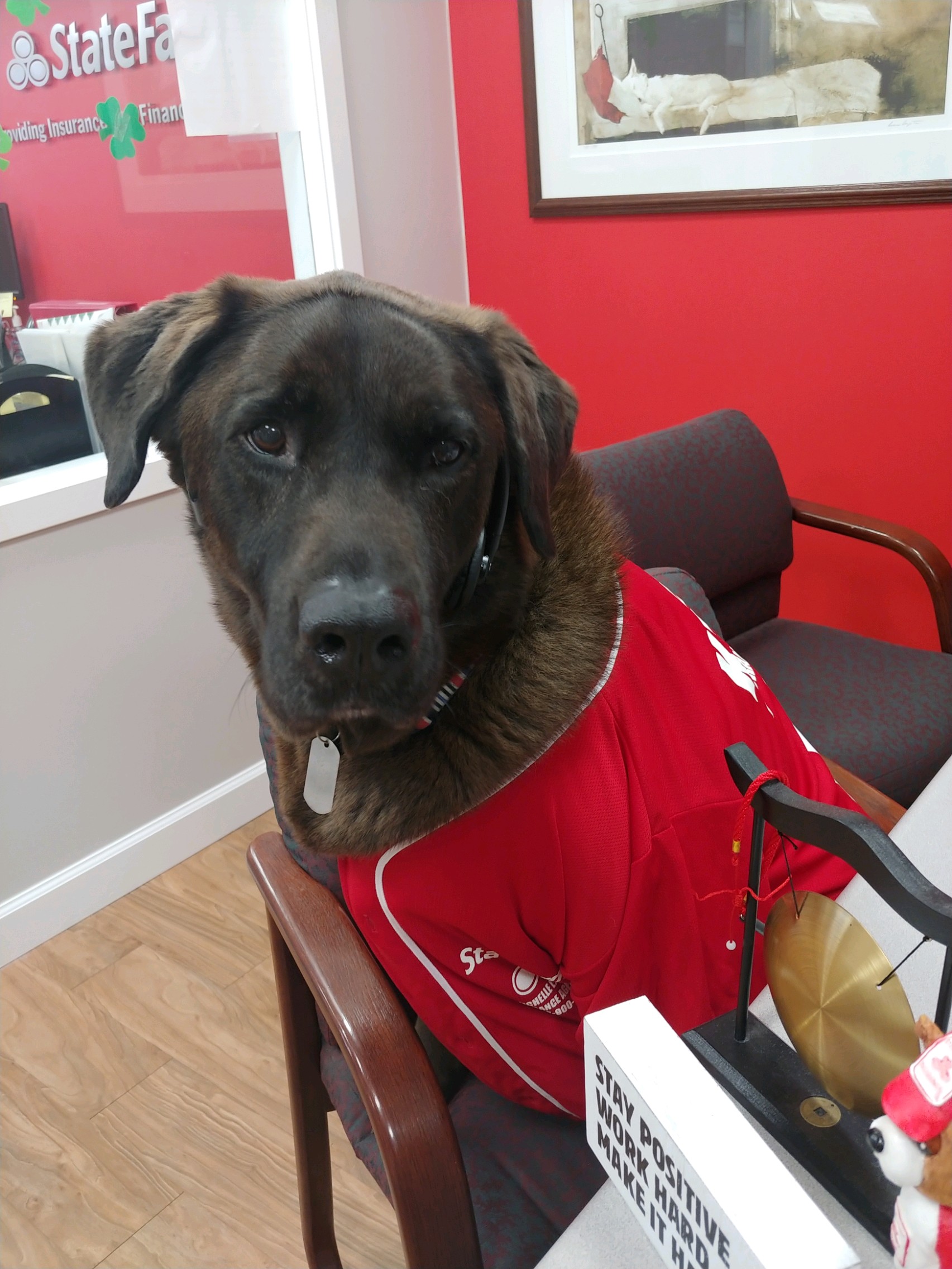Michelle Kreeger - State Farm Insurance Agent 01
