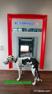 Bank of America (with Drive-thru ATM) 02