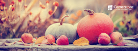 Melanie Hadley | Cornerstone Home Lending, Inc. 03