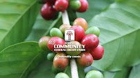 Hawaii Community Federal Credit Union 01