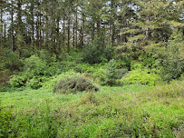 Glen Campground 03
