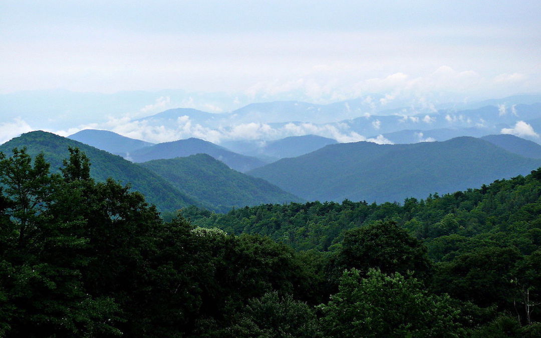 Mountainscape Realty 01