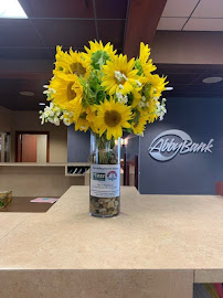 AbbyBank 03