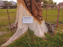 Bear River Access Management Area 04