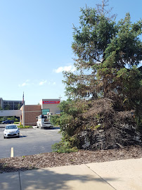 Bank of America (with Drive-thru ATM) 04