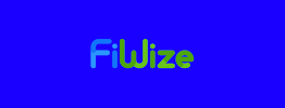 FiWize 02