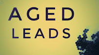 A+ Business Loan Leads 02