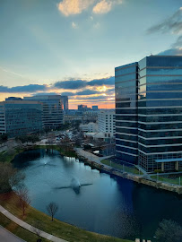 Fannie Mae 01