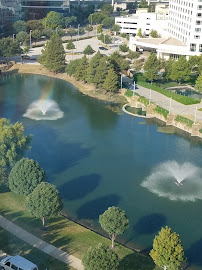Fannie Mae 03
