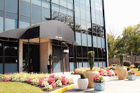 Integrant, Inc. 01