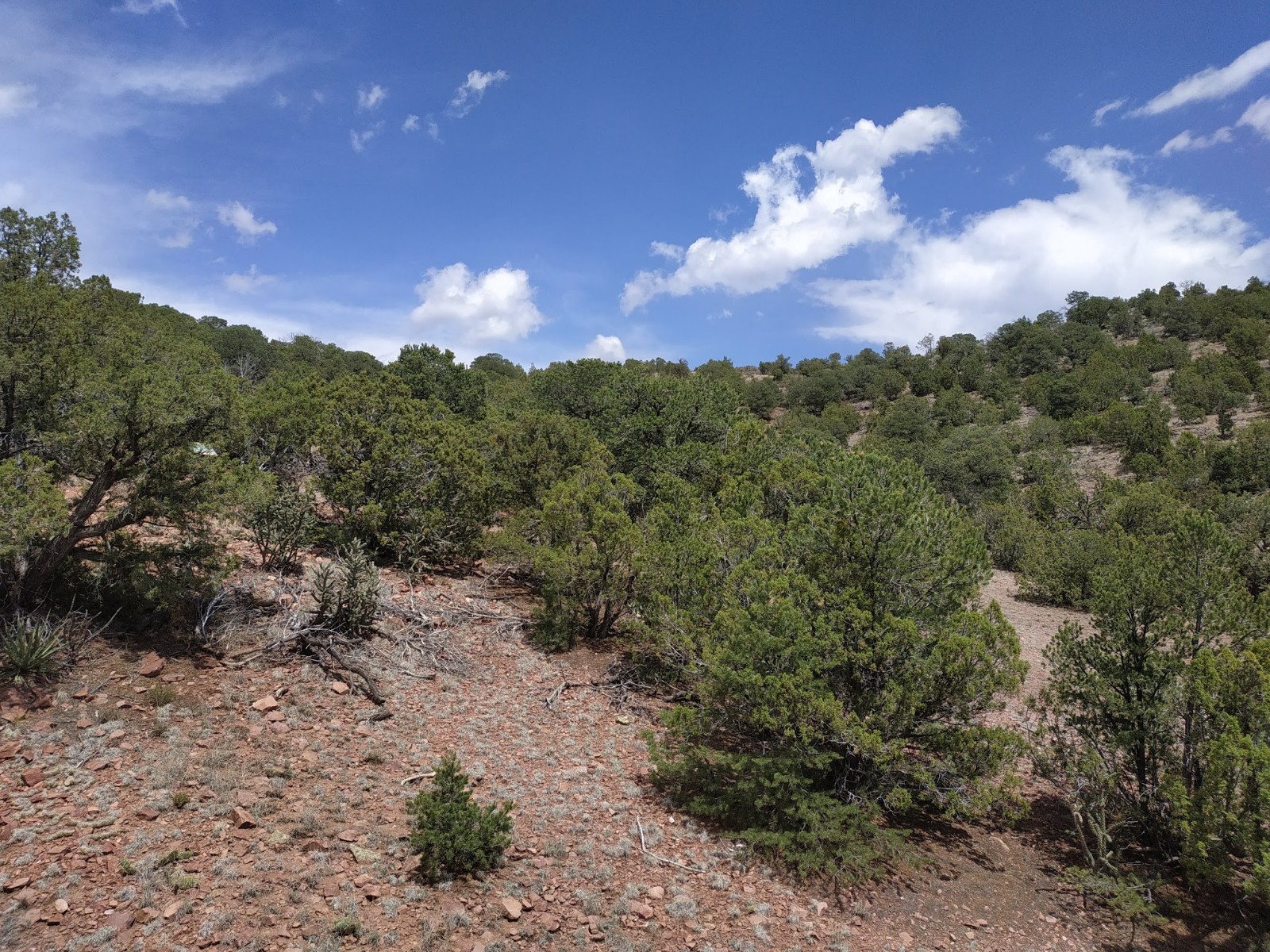 Arroyo Hondo Pueblo 01