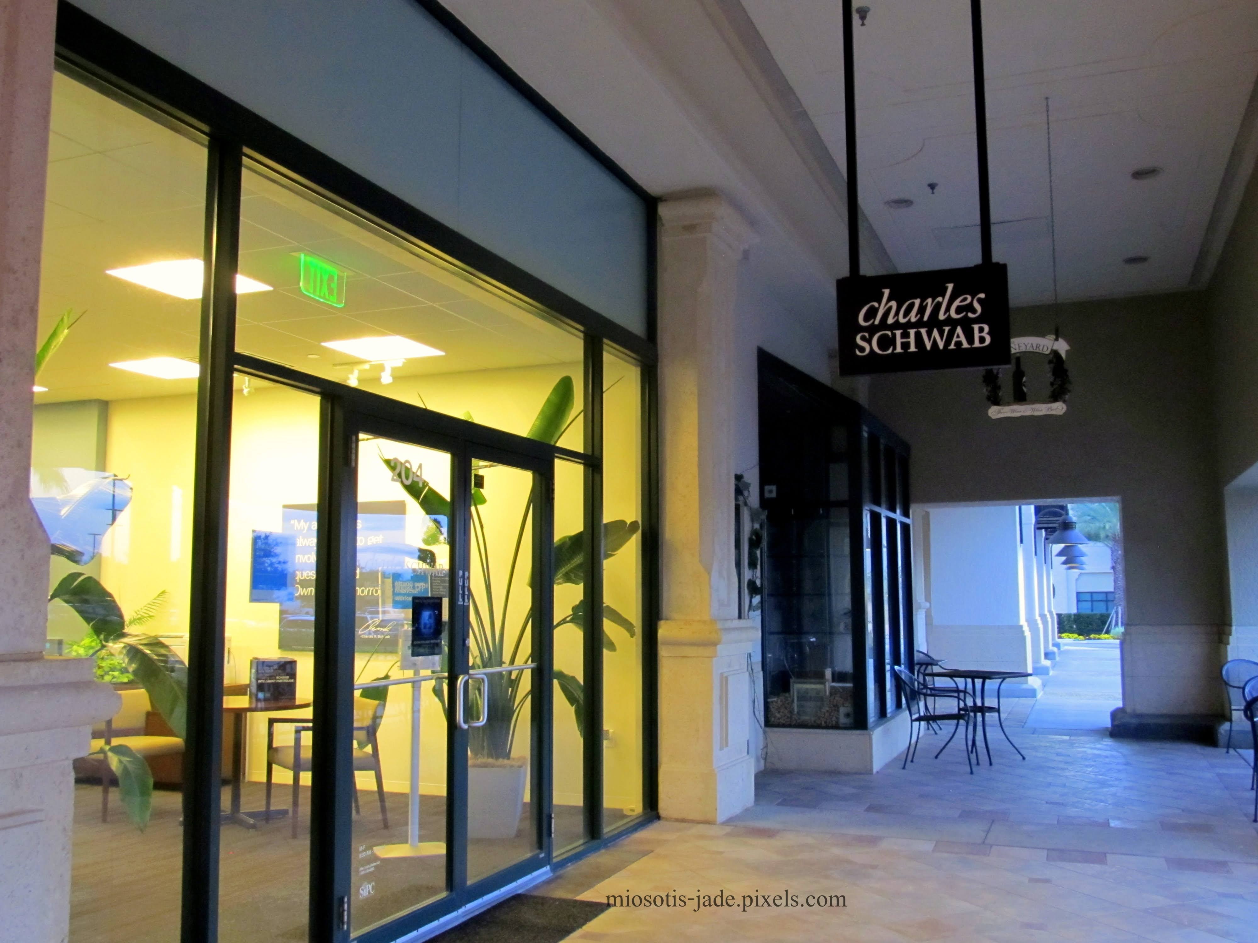 Charles Schwab 01