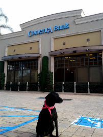 Comerica Bank 02