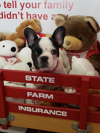Laurie Ebeling - State Farm Insurance Agent 02